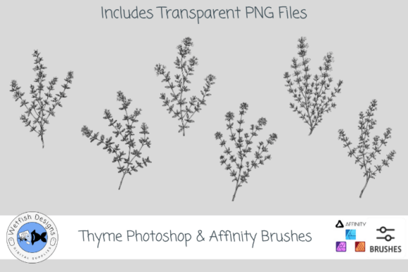 Download Thyme Photoshop &amp; Affinity Brushes - Affinity brushes Collection