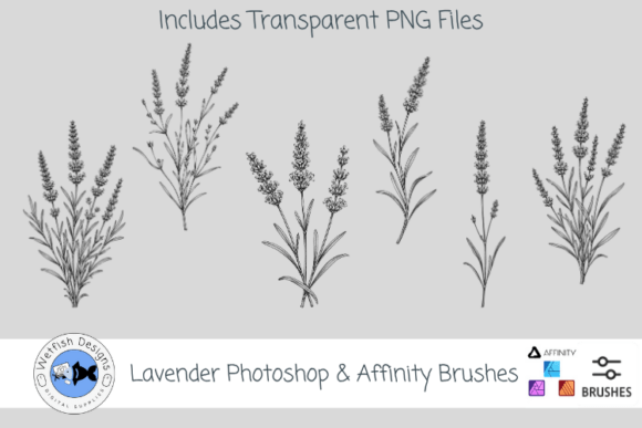 Download Lavender Photoshop &amp; Affinity Brushes - Affinity brushes Collection